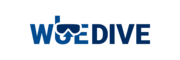 WueDIVE Logo